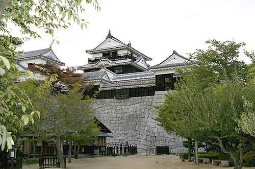 マイチョイス愛媛（福岡発）