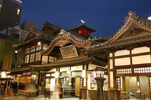 マイチョイス愛媛（福岡発）