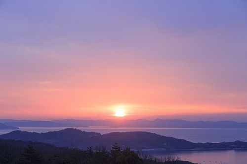 マイチョイス香川（東京発）