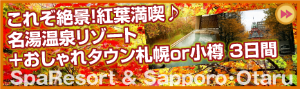 名湯リゾートとおしゃれタウン札幌or小樽3日間