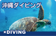 沖縄ダイビングトップ