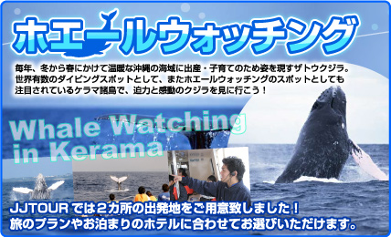 ホエールウォッチング
