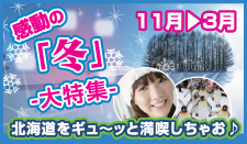感動の「冬」大特集