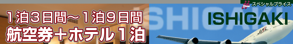 1泊3日間~1泊9日間航空券+ホテル1泊