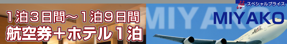 1泊3日間~1泊9日間航空券+ホテル1泊