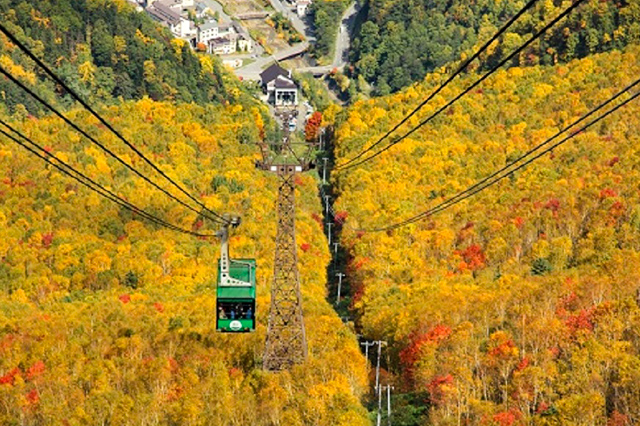 大雪山層雲峡・黒岳ロープウェイ