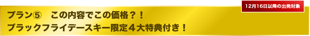 この内容でこの価格?!ブラックフライデースキー限定4大特典付き!