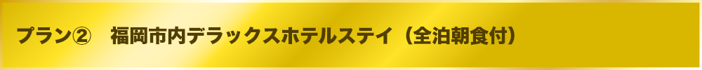 福岡市内デラックスホテルステイ(全泊朝食付)
