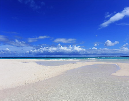 はての浜上陸＋グラスボート乗船付き