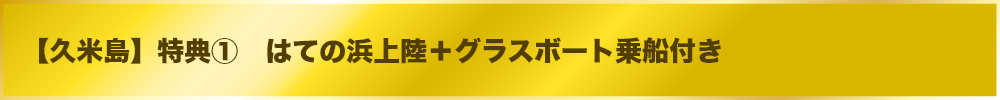はての浜上陸＋グラスボート乗船付き