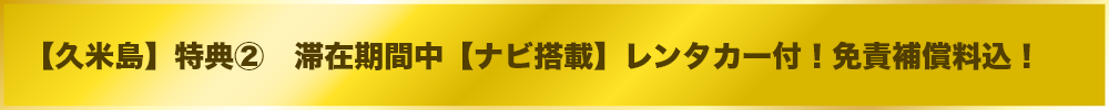滞在期間中【ナビ搭載】レンタカー付！免責補償料込！