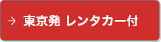 東京発 レンタカー付