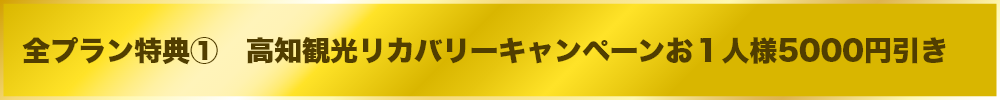 高知観光リカバリーキャンペーンお１人様5000円引き