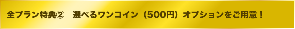 選べるワンコイン（500円）オプションをご用意！