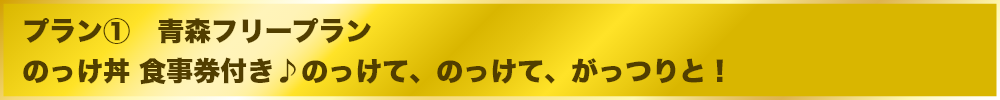 青森フリープラン のっけ丼 食事券付き♪のっけて、のっけて、がっつりと！