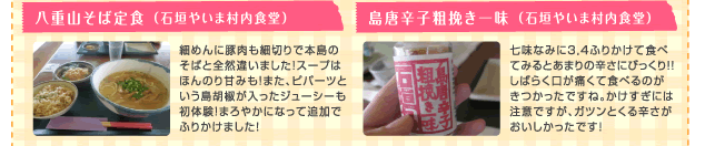 八重山そば 島唐辛子