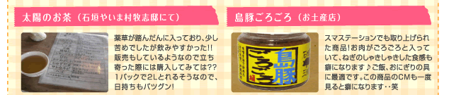 太陽のお茶 島豚ごころ