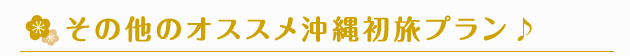 その他のオススメ沖縄初旅プラン♪