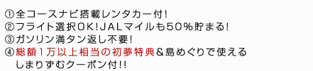 ①全コースナビ搭載レンタカー付！②フライト選択OK！JALマイルも５０％貯まる！③ガソリン満タン返し不要！④総額１万以上相当の初夢特典＆島めぐりで使えるしまりずむクーポン付！！