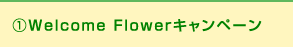 ①Welcome Flowerキャンペーン