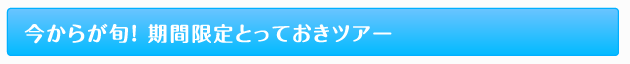 今からが旬！ 期間限定とっておきツアー