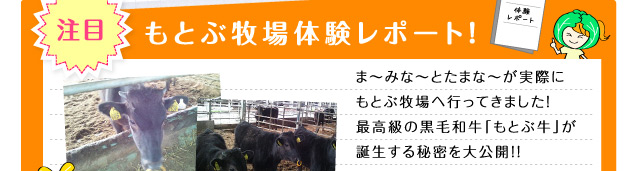 もとぶ牧場体験レポート