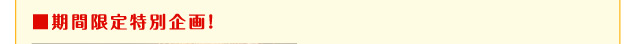 期間限定特別企画！