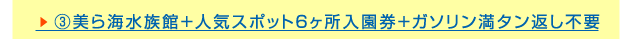 ③美ら海水族館+人気スポット６ヶ所入園券+ガソリン満タン返し不要
