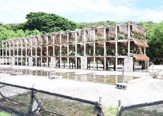 浜比嘉島の塩工房