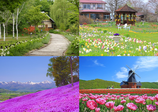 札幌ステイスペシャル