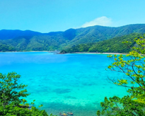 【瀬戸内】ライベストイン奄美