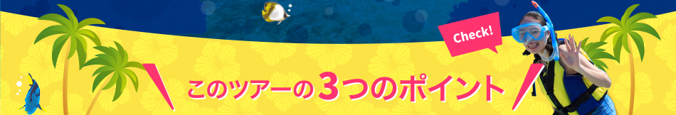 このツアーの３つのポイント
