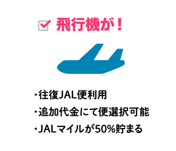 飛行機が！