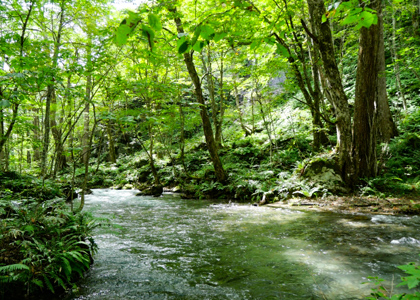 青森の風景1