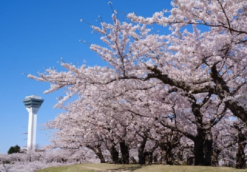 みなみ北海道＜湯の川温泉＆函館＞周遊
