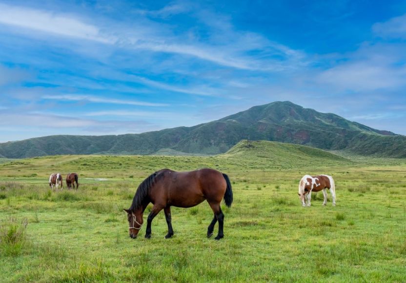 阿蘇～高千穂★ダイナミックドライブ