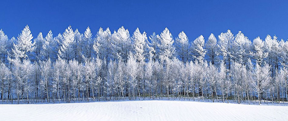 マイプランひとり旅
