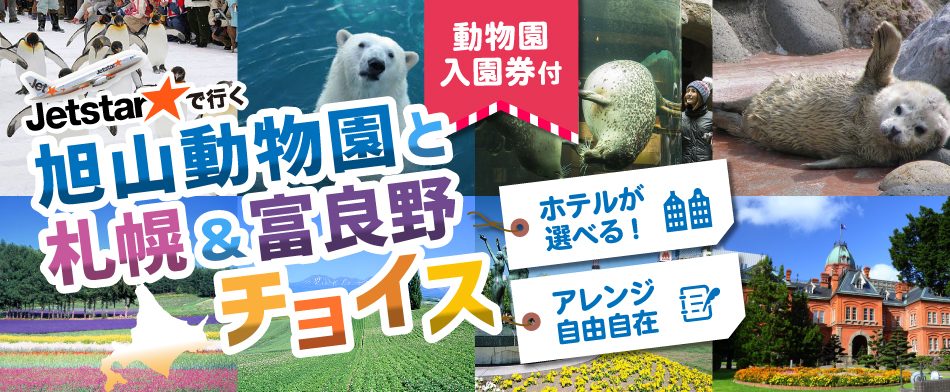 旭山動物園＆富良野を巡る旅