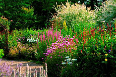 新富良野プリンスホテル