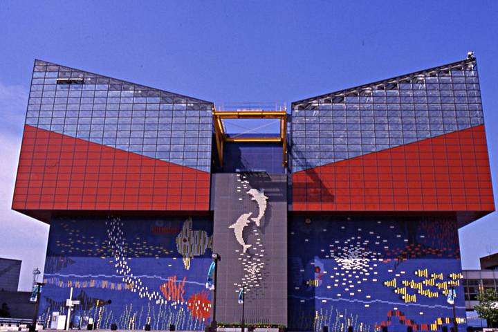 マイチョイス大阪