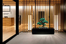 ハタゴイン関西空港