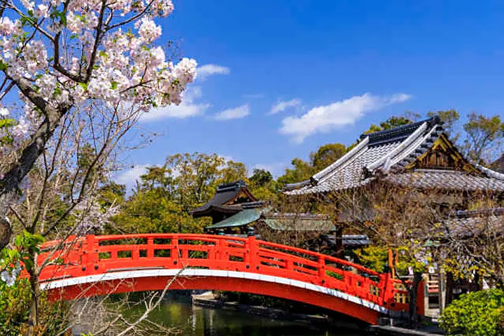 Jetstar★でビューンと ひとっ飛び　京都