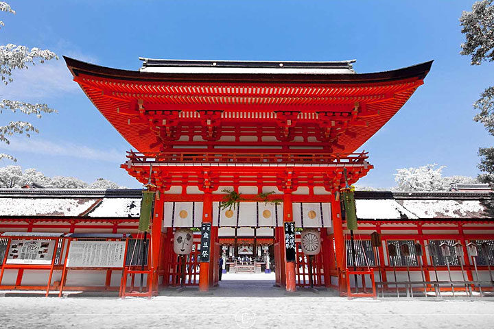 マイチョイス京都