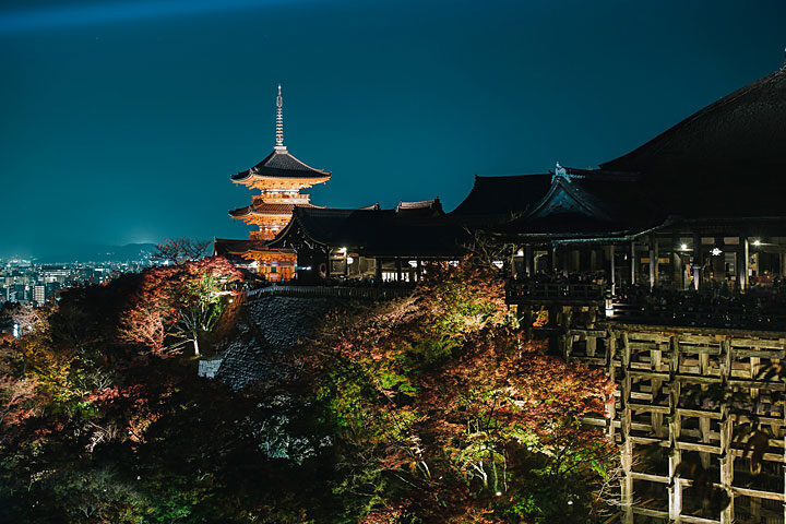 マイチョイス京都