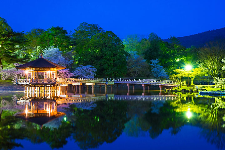 びゅーんと奈良