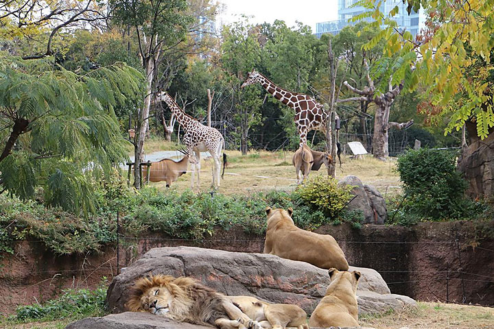 大阪満喫プラン