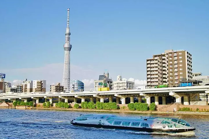 マイプラン東京