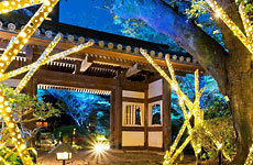 ザ・プリンス さくらタワー東京