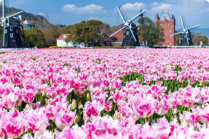 ハウステンボス特集