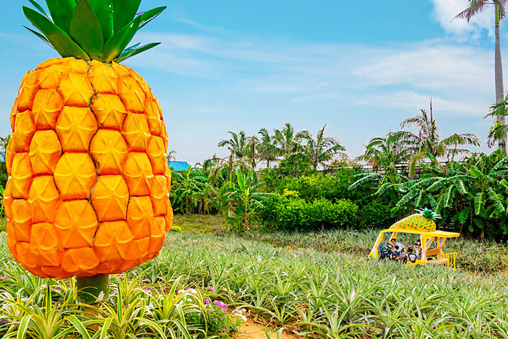 新春★初売りセール